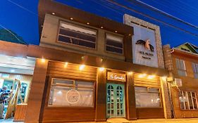 Hotel Milodon